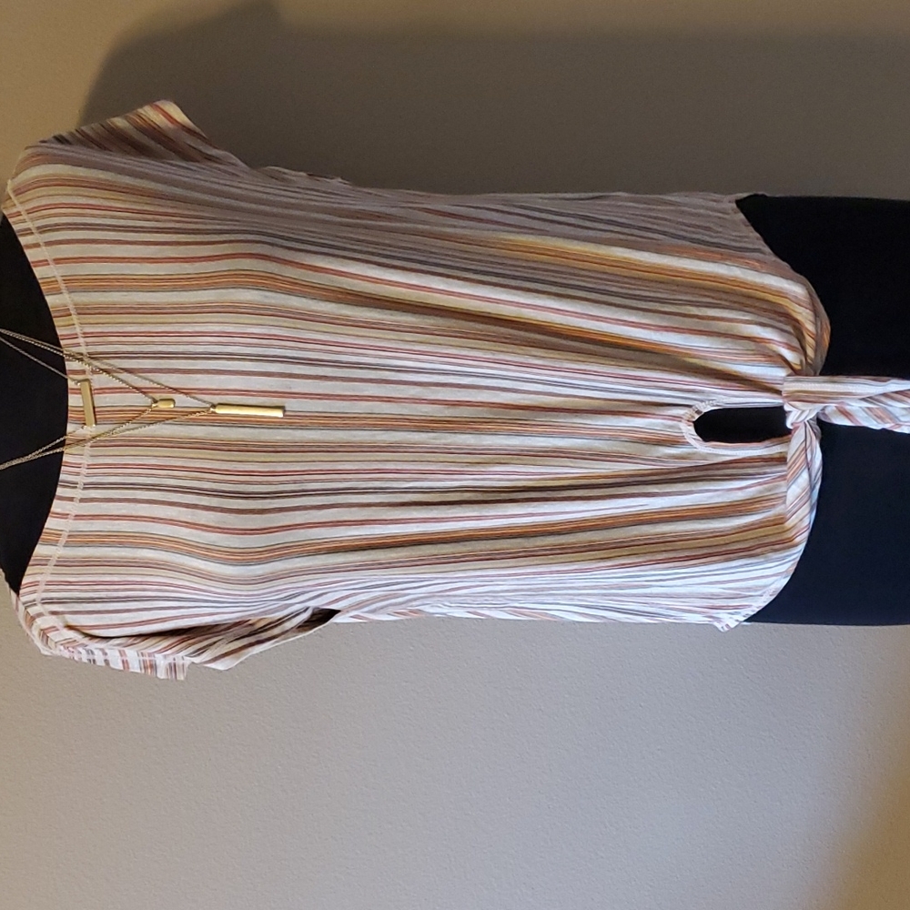 Max studio stripe top